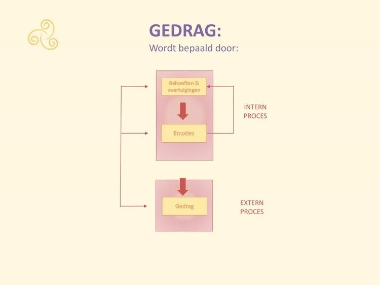 Je bent niet je persoonlijkheid. Je bent niet je gedrag!