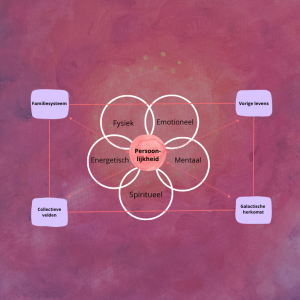 PLATO erkende online nascholing Holistische aanpak met multidimensionale verdieping | Nicole Broers