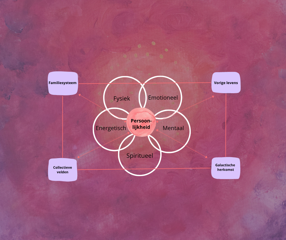PLATO erkende online nascholing Holistische aanpak met multidimensionale verdieping | Nicole Broers