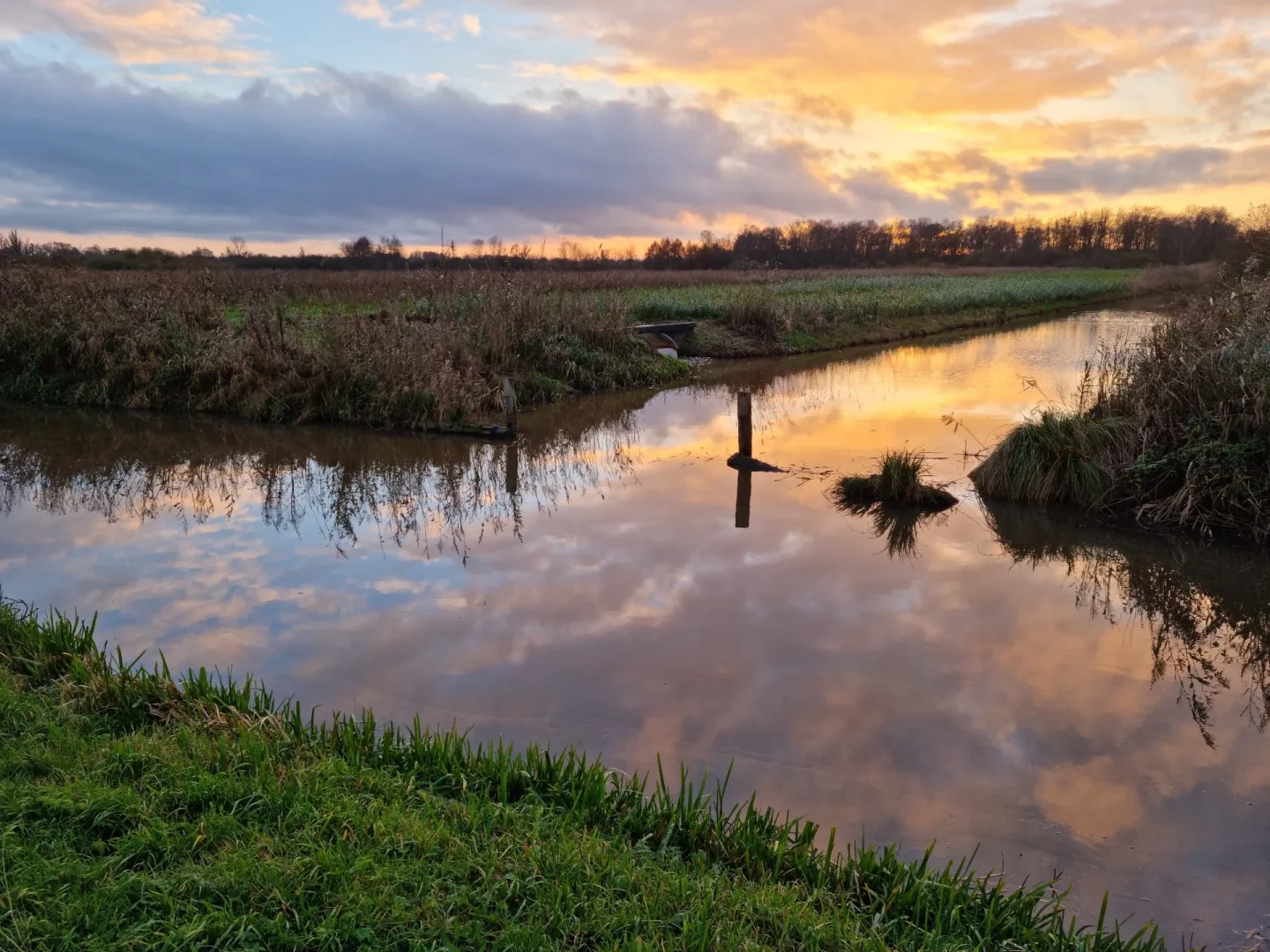 Verlaat verdriet, dubbel verlies en uitgestelde rouw | Nicole Broers