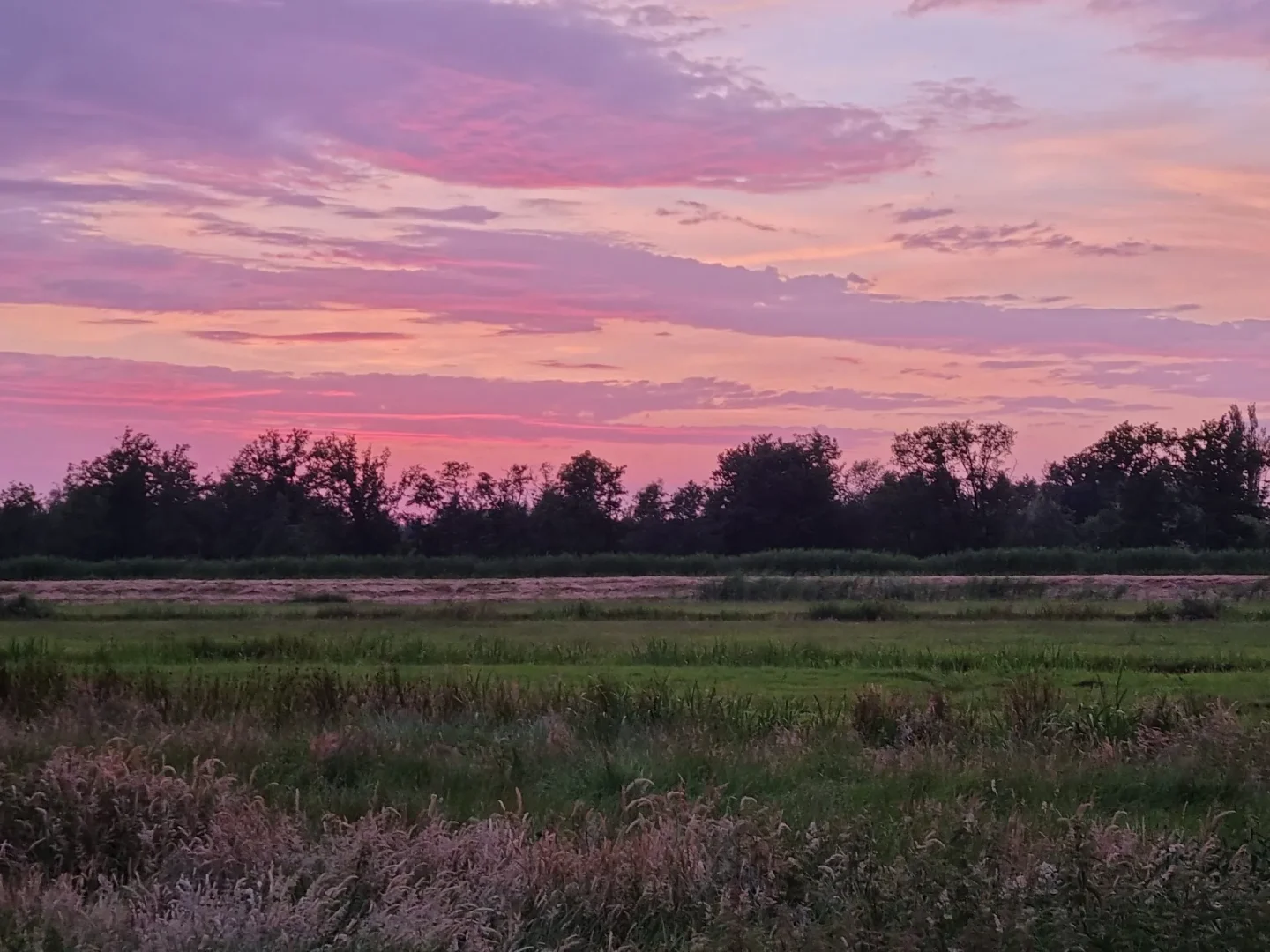 Mijn visie op rouw en verlies binnen gezin | Nicole Broers