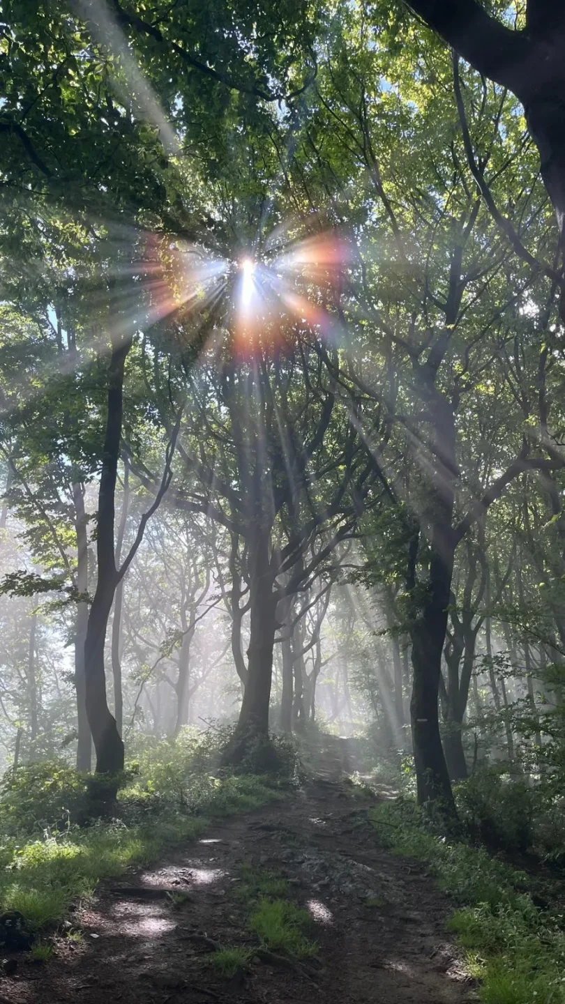 Holistische begeleiding bij rouw en verlies binnen een gezin | Nicle Broers