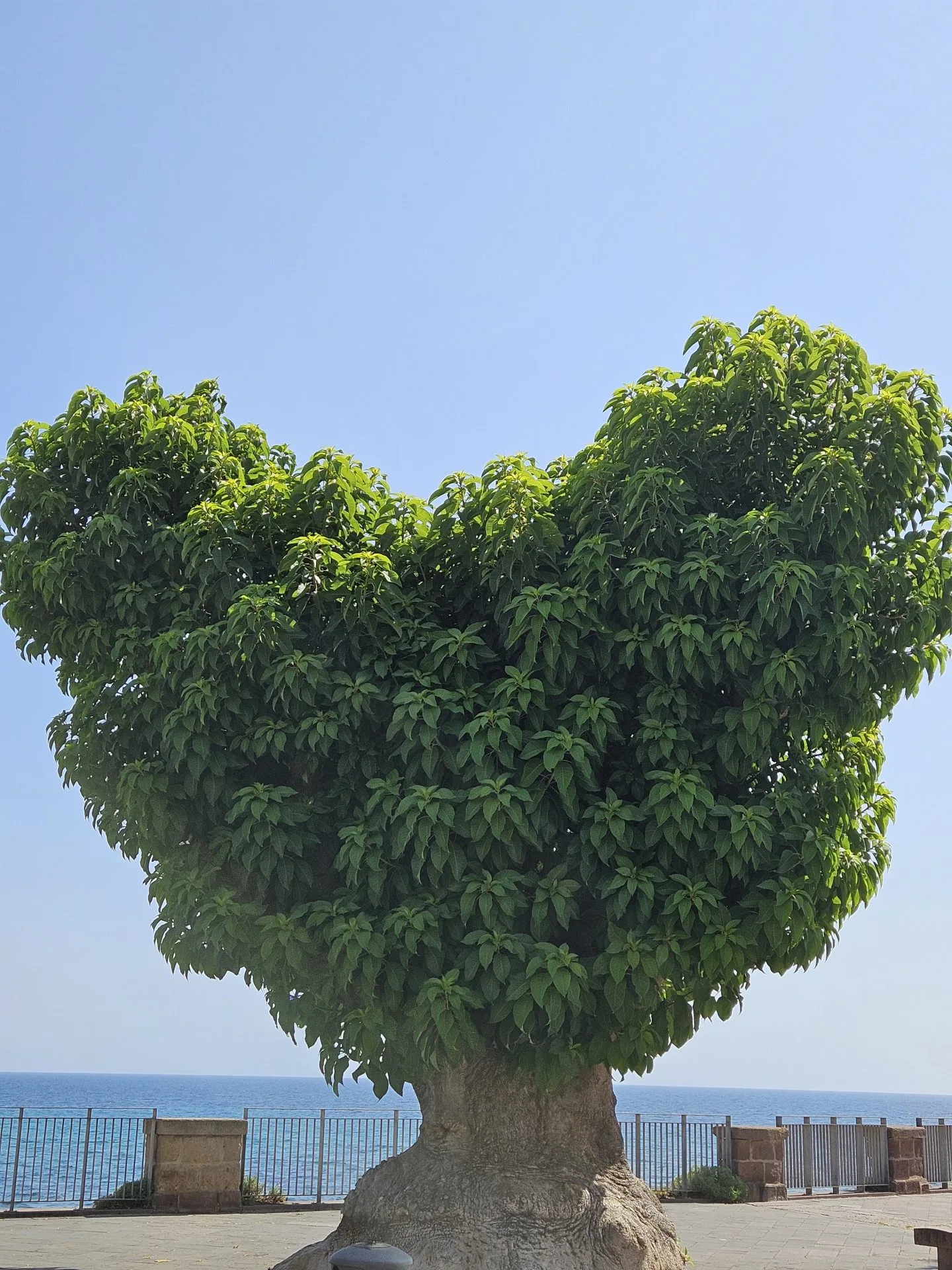 Holistisch 1-op-1 traject bij rouw en verlies binnen gezin | Nicole Broers