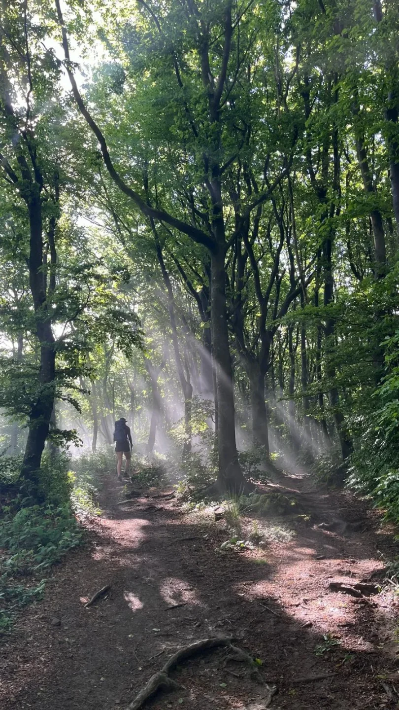 Angst voor de dood - angst om te leven | Nicole Broers