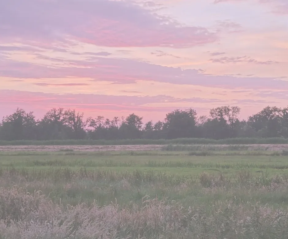 Verdiepingsdagen Verbinding met jezelf en de ander in beeldtaal met poppetjes
