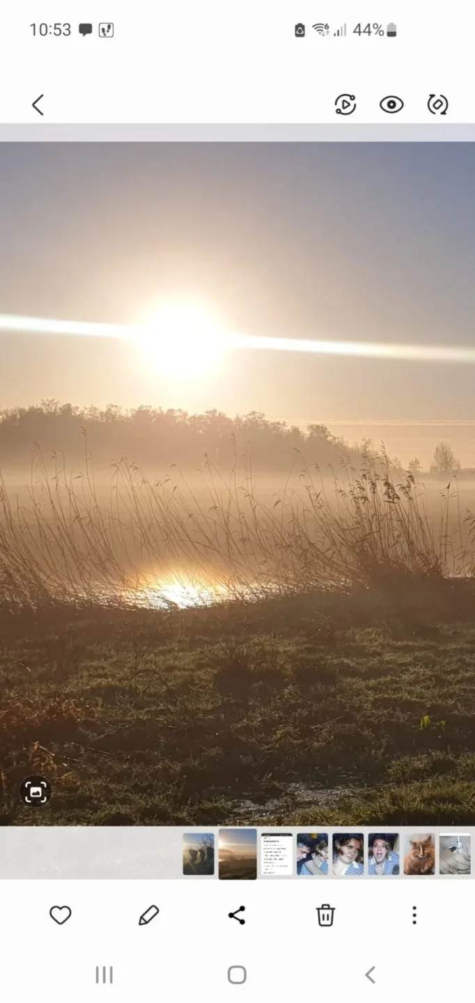 De laatste fase van het leven: een natuurlijke beweging van loslaten