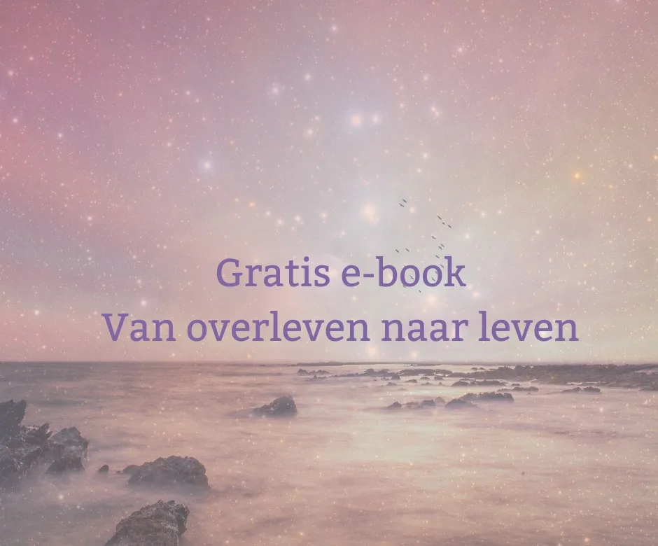 Gratis E-book Van overleven naar leven | Nicole Broers